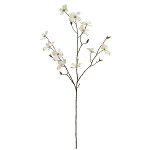 yԁzMAGIQ/VeBԂ݂ 1 CREAM/FM003948-001y01z ԁiA[eBtBVt[j  ԍށu͍sv Ԃ݂