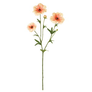 yԁzMAGIQ/NXiLX 6 PEACH/FM004119-006y01z ԁiA[eBtBVt[j  ԍށusv iLX