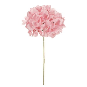 yԁzMAGIQ/AXnChWA 202 PRPK 171/FM025048-202y01z ԁiA[eBtBVt[j  ԍށusv izԁj