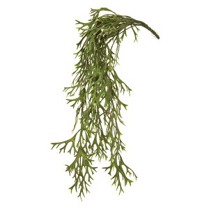 �y���ԁzMAGIQ������/�R�E���������o�C�� GREEN/FG000379�y01�z ���ԁi�A�[�e�B�t�B�V�����t�����[�j ���ԗt���A�t�F�C�N�O���[�� ���̑��̑��ԗt���E�t�F�C�N�O���[��