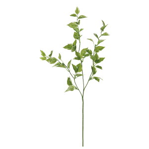 yԁzMAGIQ/z[tXv[ CR/GR/FG002087y01z ԁiA[eBtBVt[j ԗtAtFCNO[ TJL