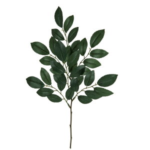 yԁzMAGIQ/qTJLXv[ GREEN/FG006346y01z ԁiA[eBtBVt[j ԗtAtFCNO[ TJL