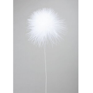 tFU[|| 1 zCg 10{/FU000121-001y01z ԎށEt[Xg fR[Vp[cEf H(tFU[)ARL[