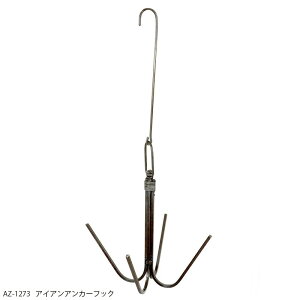 azi-azi/ACAAJ[tbN/AZ-1273y01z K[fjOE|pi K[fjOG݁EI[ig ACAEuLG