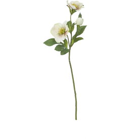 【造花】YDM/フレッシュクリスマスローズ グリーン/FA7076-GR【01】【取寄】 造花（アーティフィシャルフラワー） 造花 花材「か行」 クリスマスローズ