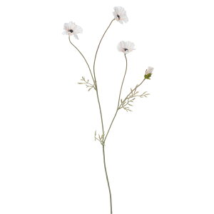 yԁzYDM/XCOAllXv[ zCgsN/FA7072-W/Py01z ԁiA[eBtBVt[j  ԍށusv All