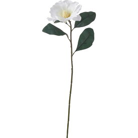 楽天市場 マグノリア 花の通販