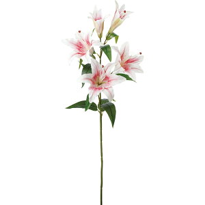 カサブランカ 花 ピンクの人気商品 通販 価格比較 価格 Com カサブランカ 花 ピンクの人気商品 通販 価格比較 価格 Com