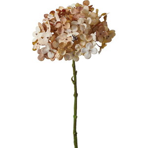 yԁzYDM/hCAWTC x[W/FA7084-BEy01z ԁiA[eBtBVt[j  ԍށusv izԁj