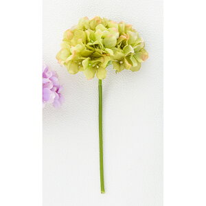 yԁz{uNtg/nChWAsbN/17001Gy01z[3] ԁiA[eBtBVt[j  ԍށusv izԁj