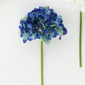 yԁz{uNtg/nChWAsbN/17001By01z[3] ԁiA[eBtBVt[j  ԍށusv izԁj