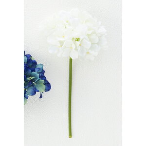 yԁz{uNtg/nChWAsbN/17001Wy01z[3] ԁiA[eBtBVt[j  ԍށusv izԁj