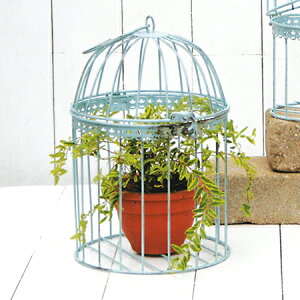 哯Ntg/17o[hP[W2.L@F/ABBG17-L30y01z[4] X܃fBXvCEX X܃CeAEG (o[hQ[W)