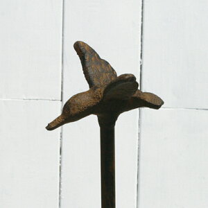 哯Ntg/~jz[XK[hEo[h@uE/AHR16-B01Sy01z[6] K[fjOE|pi K[fjOG݁EI[ig z[Xz_[