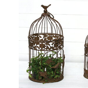 哯Ntg/AeB[No[hP[WM@uE/AAB14-M20y01z[4] X܃fBXvCEX X܃CeAEG (o[hQ[W)