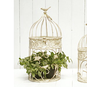 哯Ntg/AeB[No[hP[WzCgM@AeB[NzCg/AAB14-M20Wy01z[4] X܃fBXvCEX X܃CeAEG (o[hQ[W)