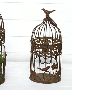 哯Ntg/AeB[No[hP[WS@uE/AAB14-S15y01z[4] X܃fBXvCEX X܃CeAEG (o[hQ[W)