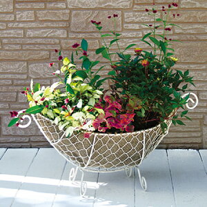 哯Ntg/rtShzCg@AC{[/FMP06-30Wy01z[4] ԊA[X ԂEt[oXPbg C[oXPbg