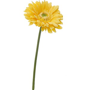 yԁzYDM/K[x CG[/FFH-0019-Yy01z ԁiA[eBtBVt[j  ԍށusv K[x