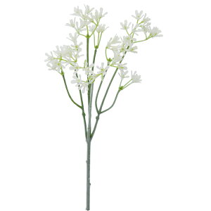 �y���ԁzYDM/�x�r�[�u���X �z���C�g/FFH-0005-W�y01�z ���ԁi�A�[�e�B�t�B�V�����t�����[�j ���� �ԍށu���s�v �����ݑ�