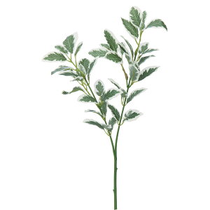 yԁzYDM/~jtBJX zCgO[/FGH-0008-W/Gy01z ԁiA[eBtBVt[j ԗtAtFCNO[ ̑̑ԗtEtFCNO[