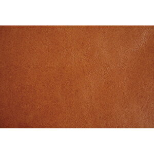 NBK{Rtf/{vV[gi17×11cmj1 Ԓ/MAP109-Ay01zy10z |pi [XE{Ee[vER[h e[vER[h  ޗ