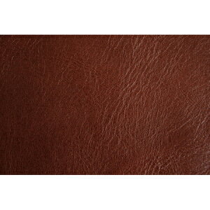 NBK{Rtf/{vV[gi17×11cmj1 /MAP109-BRy01zy10z |pi [XE{Ee[vER[h e[vER[h  ޗ