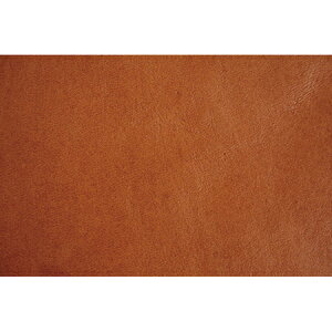 NBK{Rtf/{vV[gi26×20cmj1 Ԓ/MAP111-Ay10z |pi [XE{Ee[vER[h e[vER[h  ޗ