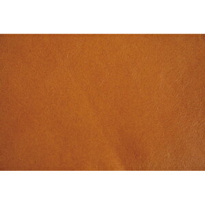 NBK{Rtf/{vV[gi26×20cmj1 L/MAP111-Yy10z |pi [XE{Ee[vER[h e[vER[h  ޗ