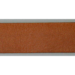 NBK{Rtf/{ve[v 25mm×10m L/MTLS1025-2y10z |pi [XE{Ee[vER[h e[vER[h  ޗ