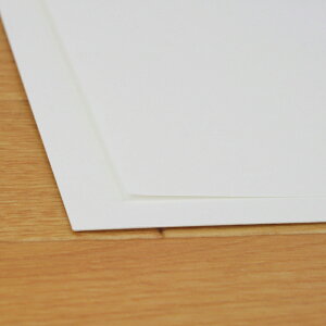 NBK���{�R�t�f��/�s�[�`�P���g160kg 39.4×54.5cm 50��/CTN12-50�y10�z ��|�p�i �N���t�g �J���g�i�[�W���E�ޗ� ���� �ޗ�