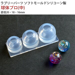 �T��/�\�t�g���[���h ���̃v�� ��/KAM-REJ-598�y10�z ��|�p�i ���W�� ���W���p���[���h ���� �ޗ�