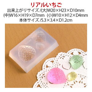 �T��/���W���N���t�g�p �\�t�g���[���h ���A��������/KAM-REJ-404�y10�z ��|�p�i ���W�� ���W���p���[���h ���� �ޗ�