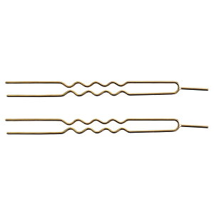 NBK{Rtf/񂴂 S[h 2{/A16-11y10z ԎށEt[Xg ANZT[p[c pp[c