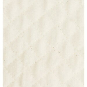 yznLgiJbgj Ж85cm /AQ10000-1 ԕiEELZsy10z |pi nEcn LeBOn  ޗ