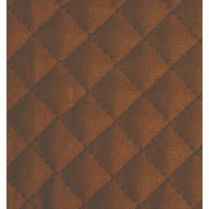 yznLgiJbgj Ж85cm/AQ10000-214 ԕiEELZsy10z |pi nEcn LeBOn  ޗ