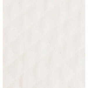 yznLgiJbgj Ж85cm /AQ10000-KW ԕiEELZsy10z |pi nEcn LeBOn  ޗ