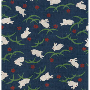 yzgja_ ub`[  110cm /KP7090-109 ԕiEELZsy10z |pi nEcn   ޗ