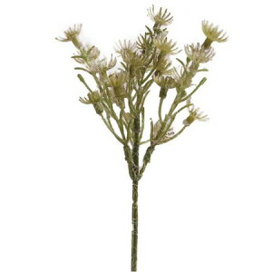 yԁzTZC/PFD-08O[[ 40XO[/600041y10z ԁiA[eBtBVt[j  ԍށusv ̑usvԉԍ