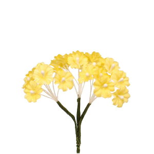 yԁzTZC/DSI-05JX~11CG[/541235y10z ԁiA[eBtBVt[j  ԍށusv ݑ