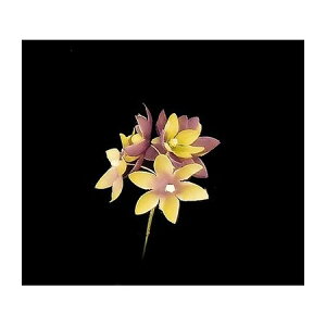 yԁzTZC/NY-035tWA 06[u/569213y10z ԁiA[eBtBVt[j  ԍށusv izԁj