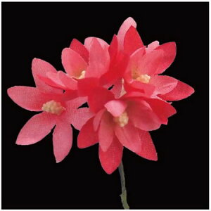 yԁzTZC/NY-035tWA 70sNڂ/569292y10z ԁiA[eBtBVt[j  ԍށusv izԁj