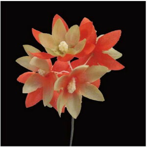 yԁzTZC/NY-035tWA 119˂ڂ/569293y10z ԁiA[eBtBVt[j  ԍށusv izԁj