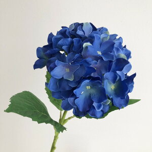 yԁzMAGIQ/ 10 _[Nu[/FM007988-010y01z ԁiA[eBtBVt[j  ԍށusv izԁj