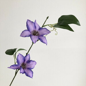 yԁzYDM/N}`X _[Np[v/FS-7962DPUy01z ԁiA[eBtBVt[j  ԍށusv N}`X