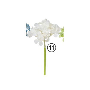 yԁzAXJ/nChWAsbN N[zCg/A-32408-11y01z ԁiA[eBtBVt[j  ԍށusv izԁj