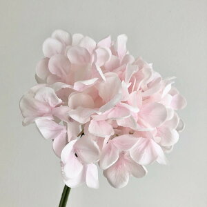 yԁzAXJ/nChWAo`i13{j CgsN/A-35115-13y01z ԁiA[eBtBVt[j  ԍށusv izԁj