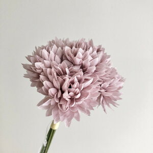 yԁzroH|/VE-4219 ||}o` MA/VE-4219MAy01z ԁiA[eBtBVt[j  ԍށusv LNiejEs|}