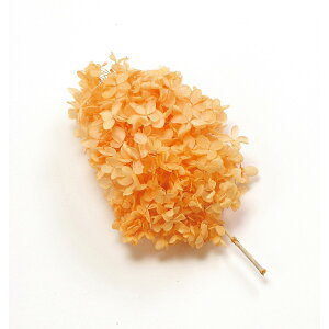 yvU[uhzn_/s~bhAWTCwbh WAIW/01510-361y01z vU[uht[ vU[uht[ԍ izԁj