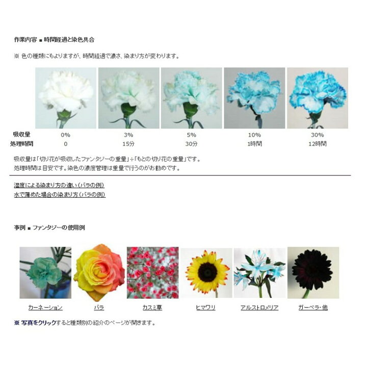 楽天市場】パレス化学/ファンタジー 1L コバルト/【07】【取寄】 花資材・道具 生花用資材 切花着色剤 : 花材通販はなどんやアソシエ